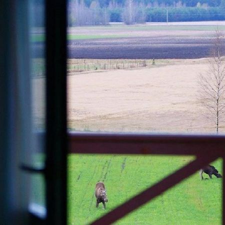 Losiowy Kat Goniadz Exteriér fotografie