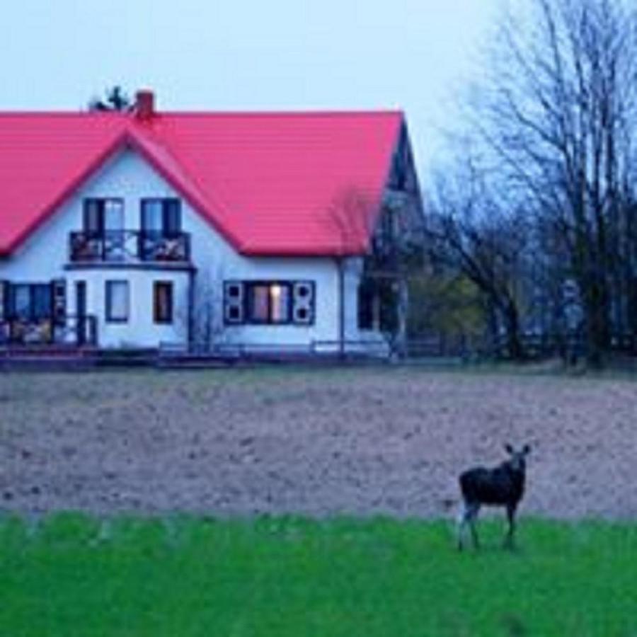 Losiowy Kat Goniadz Exteriér fotografie