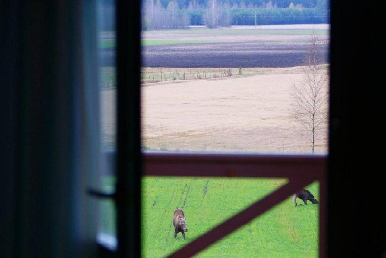 Losiowy Kat Goniadz Exteriér fotografie